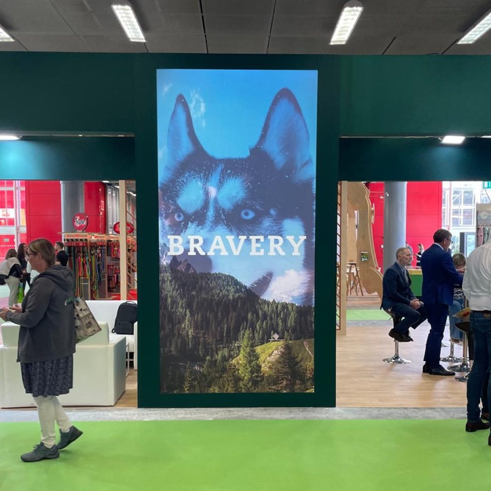 WhatsApp Image 2026-03-17 at 10.46.02