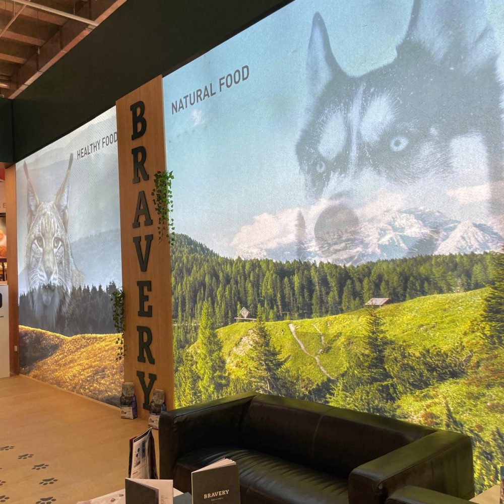 WhatsApp Image 2026-03-17 at 10.54.27 (1)